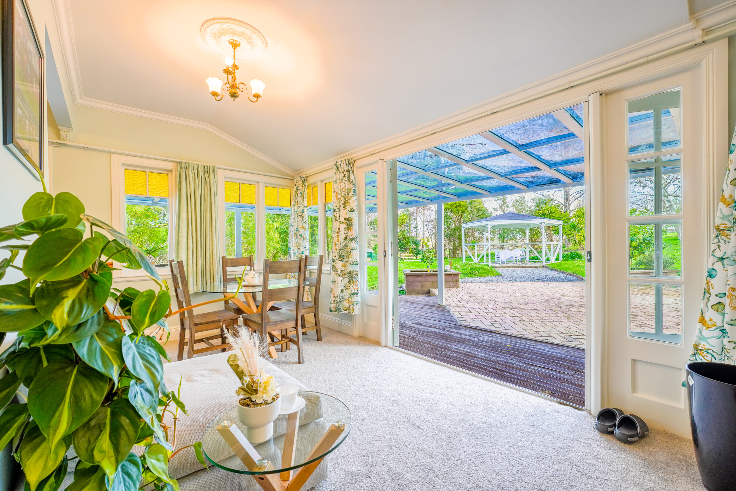 Gallery - Raptors Thoroughbred